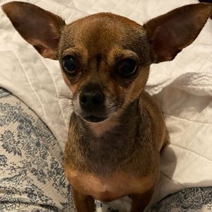 Meet your Posher, Karla